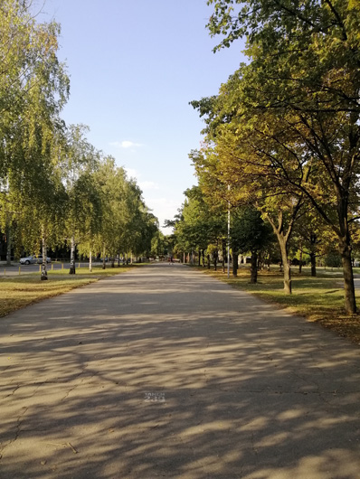 Дорога