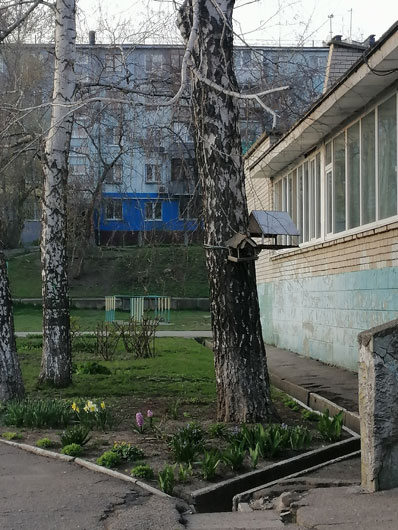 Двор школы